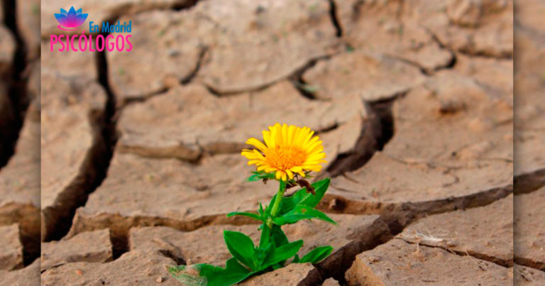 RESILIENCIA. QUÉ ES Y CÓMO LOGRAR CRECER ANTE LA ADVERSIDAD.